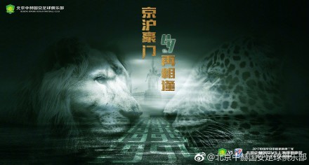 国内精品视频免费观看