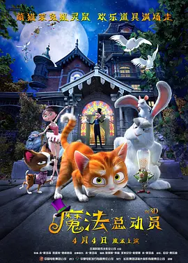 午夜一区不卡