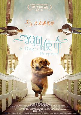 久久高清一区