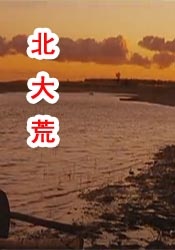 国产日韩欧美不卡