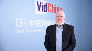 成年人视频在线播放